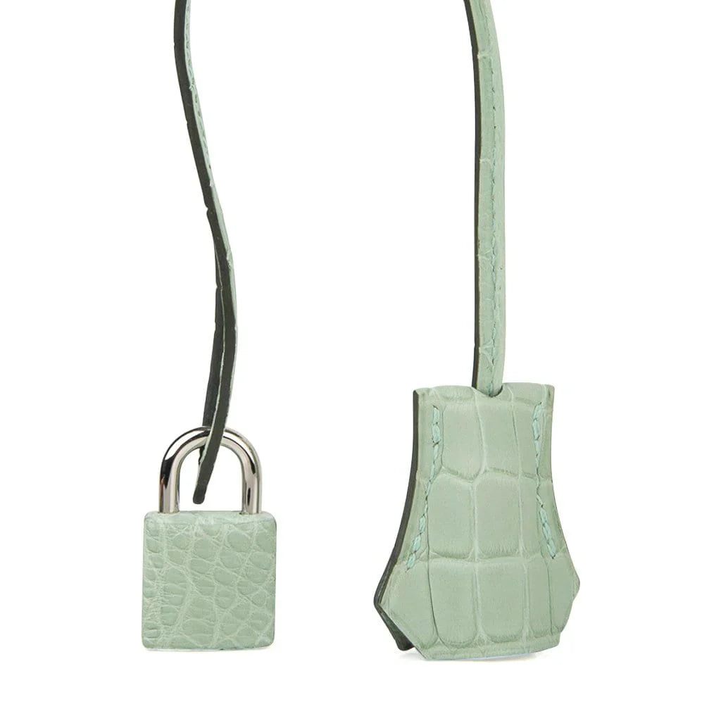 Birkin 30 Bag Vert D’eau Matte Alligator Palladium Hardware