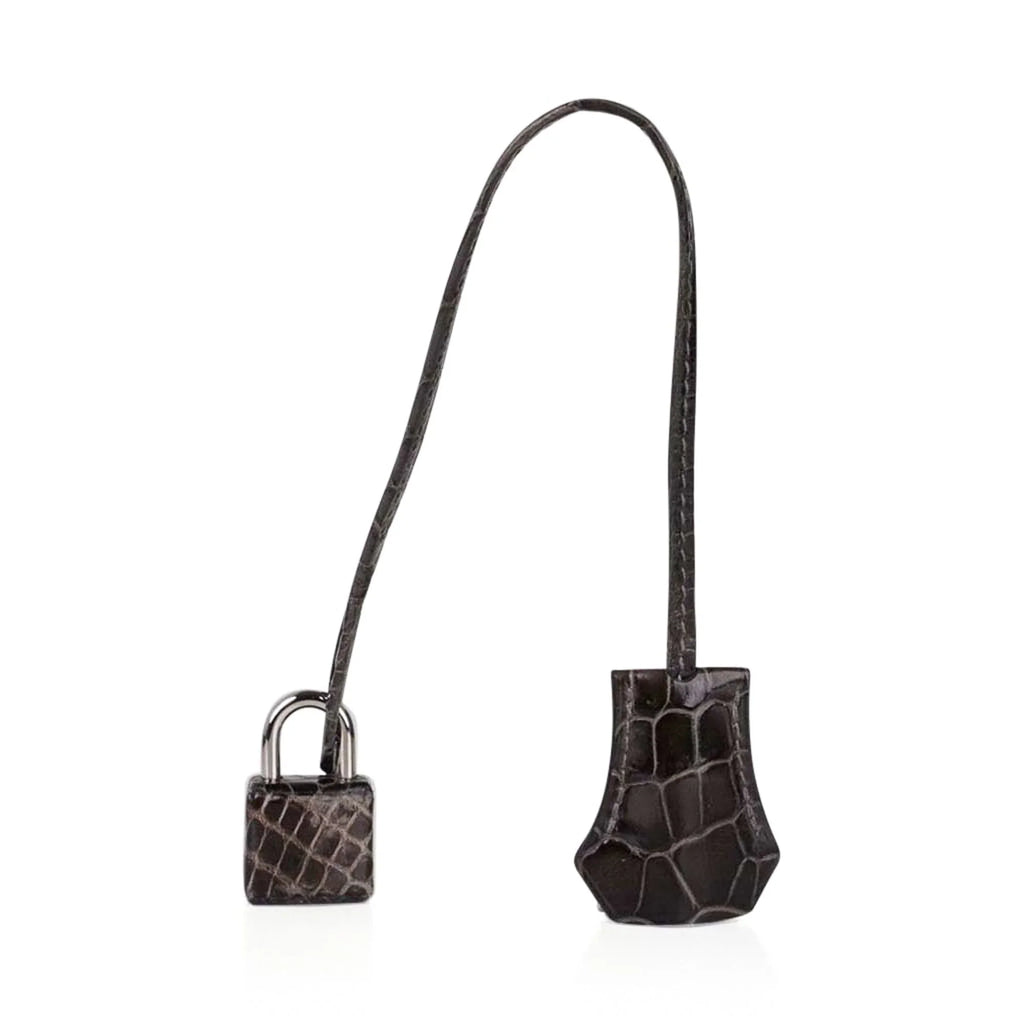 Special Order HSS Birkin 35 Bag Gris Fonce Porosus Crocodile with Palladium Hardware