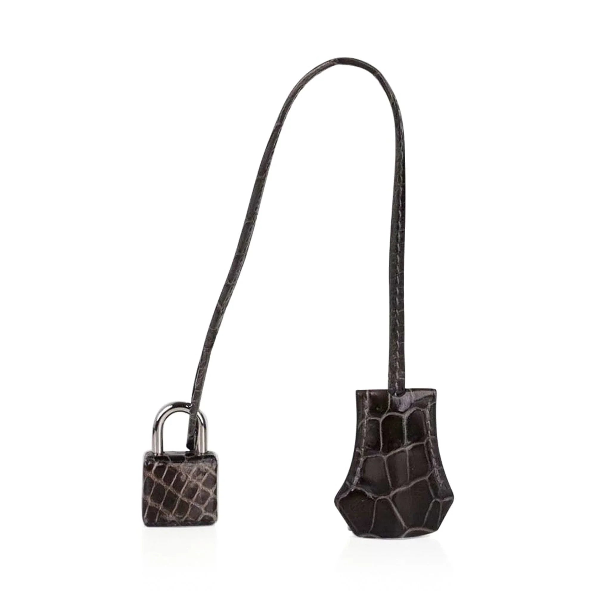 Special Order HSS Birkin 35 Bag Gris Fonce Porosus Crocodile with Palladium Hardware