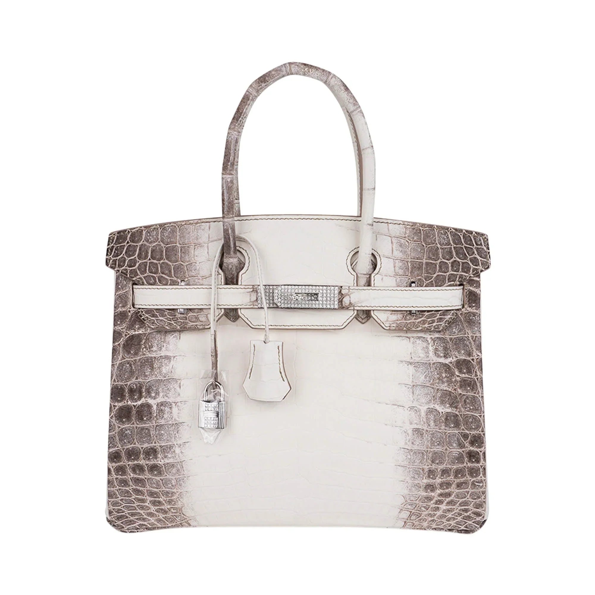 Birkin 30 Bag Diamond Himalaya Blanc Matte Niloticus Crocodile with 18k White Gold Hardware