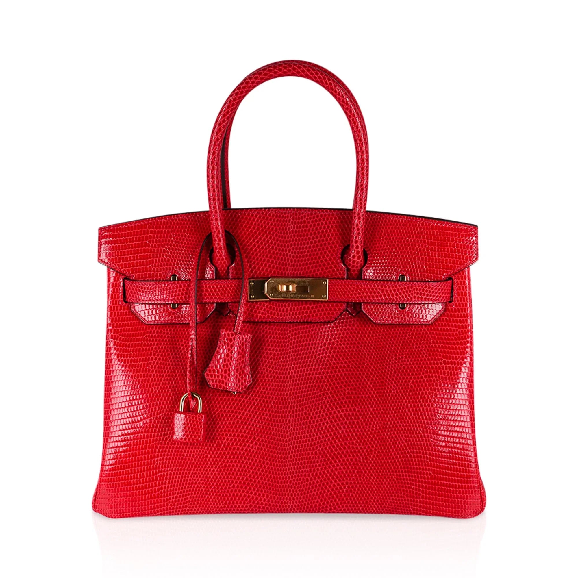 Birkin 30 Bag Rouge Exotique Lizard Limited Edition Gold Hardware Rare