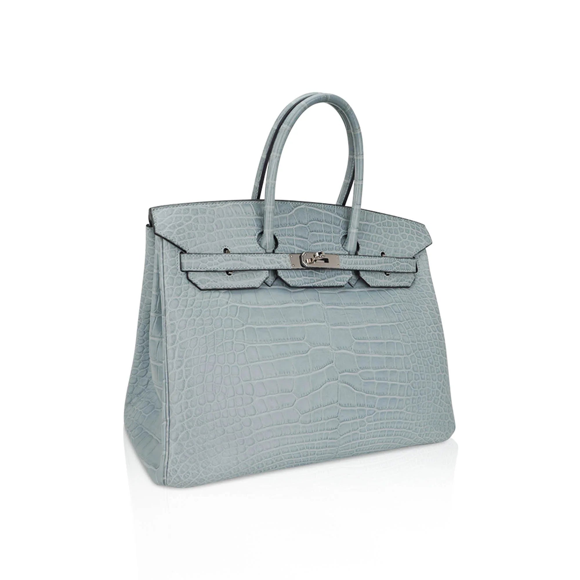Limited Edition Birkin 35 Bag Ciel Matte Alligator with Palladium Hardware