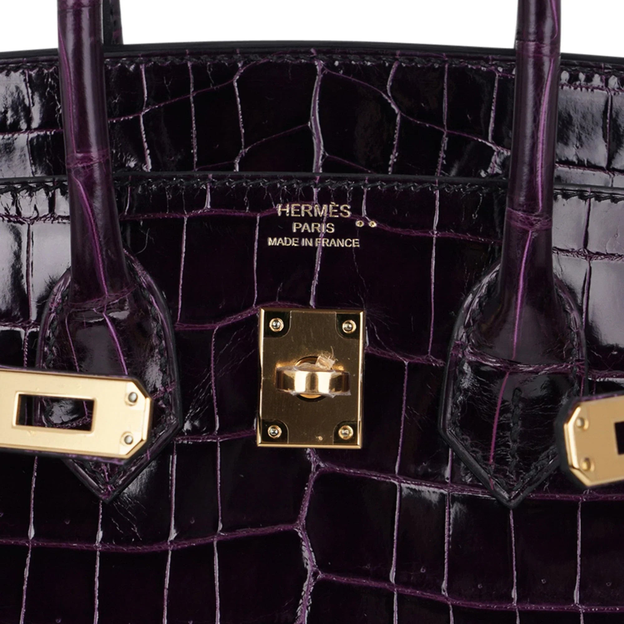 Birkin 25 Bag Aubergine Niloticus Crocodile with Gold Hardware