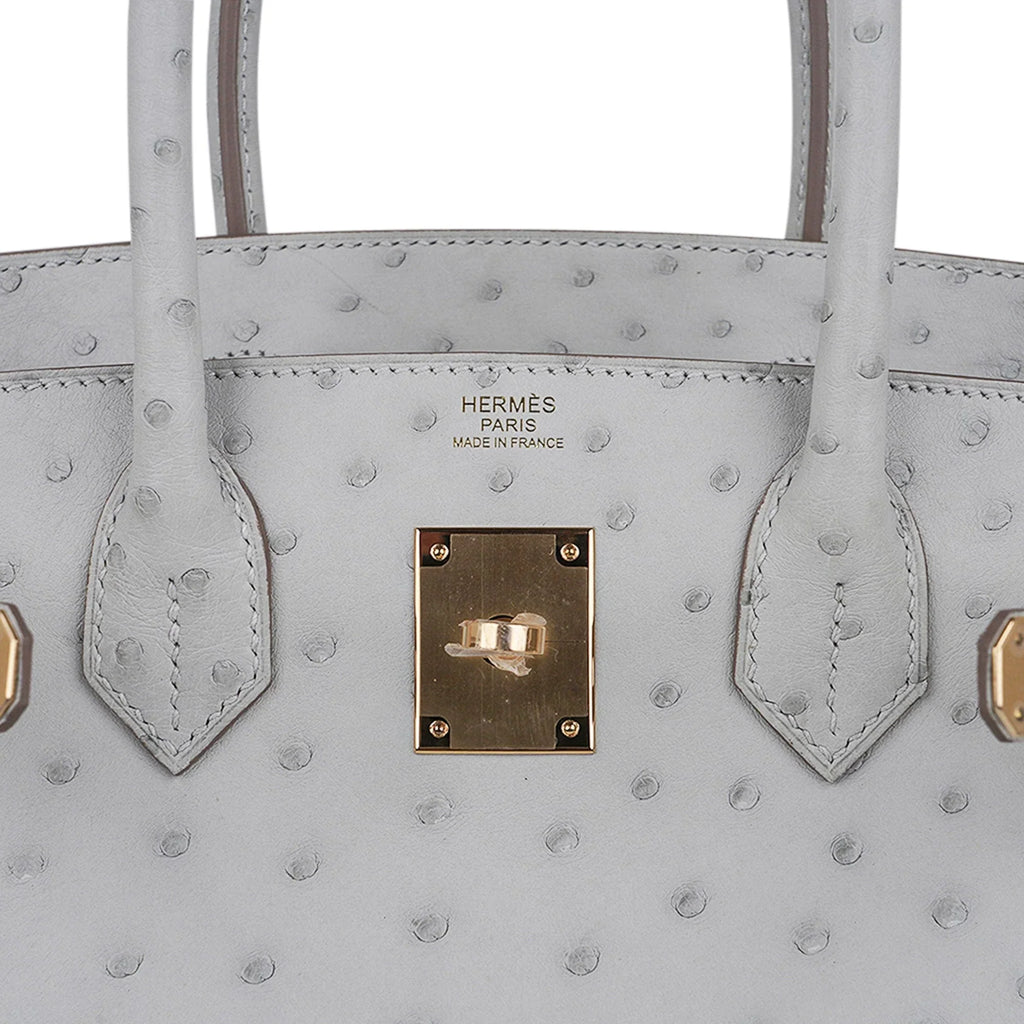 Birkin 30 Bag Gris Perle Ostrich with Gold Hardware