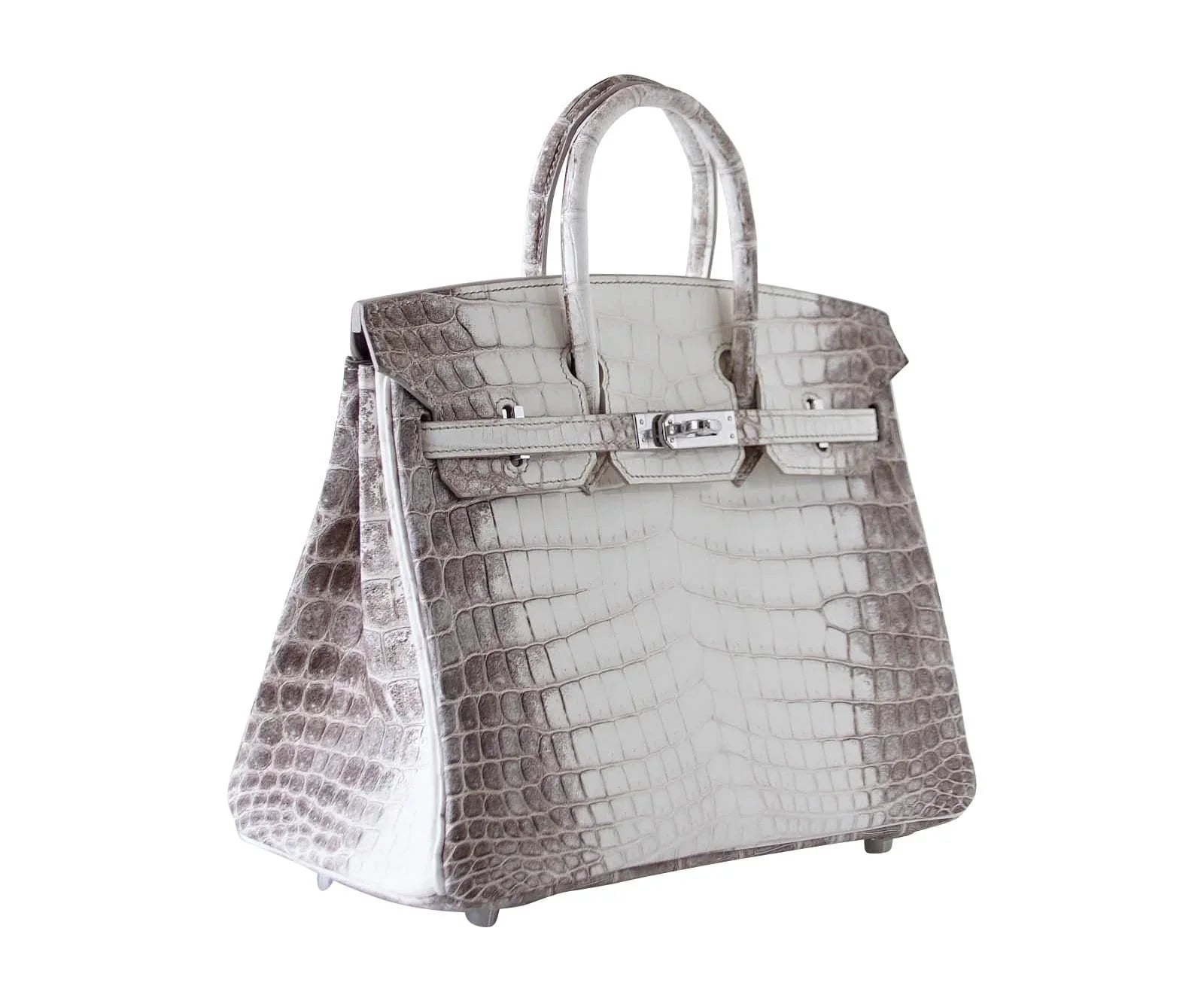 Birkin 25 Bag Blanc Himalaya Exquisite Jewel Palladium Hardware