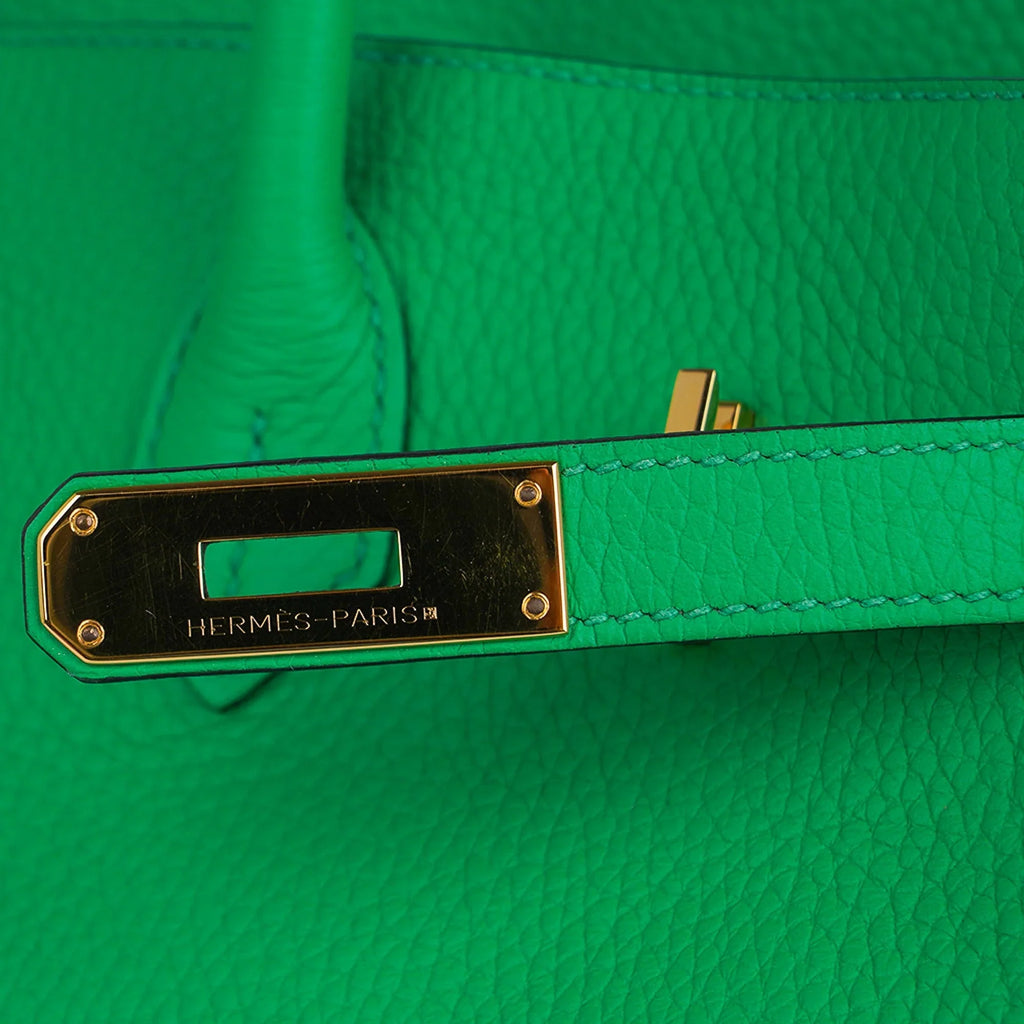 Birkin 35 Bag Bamboo Togo Leather with Gold Hardware
