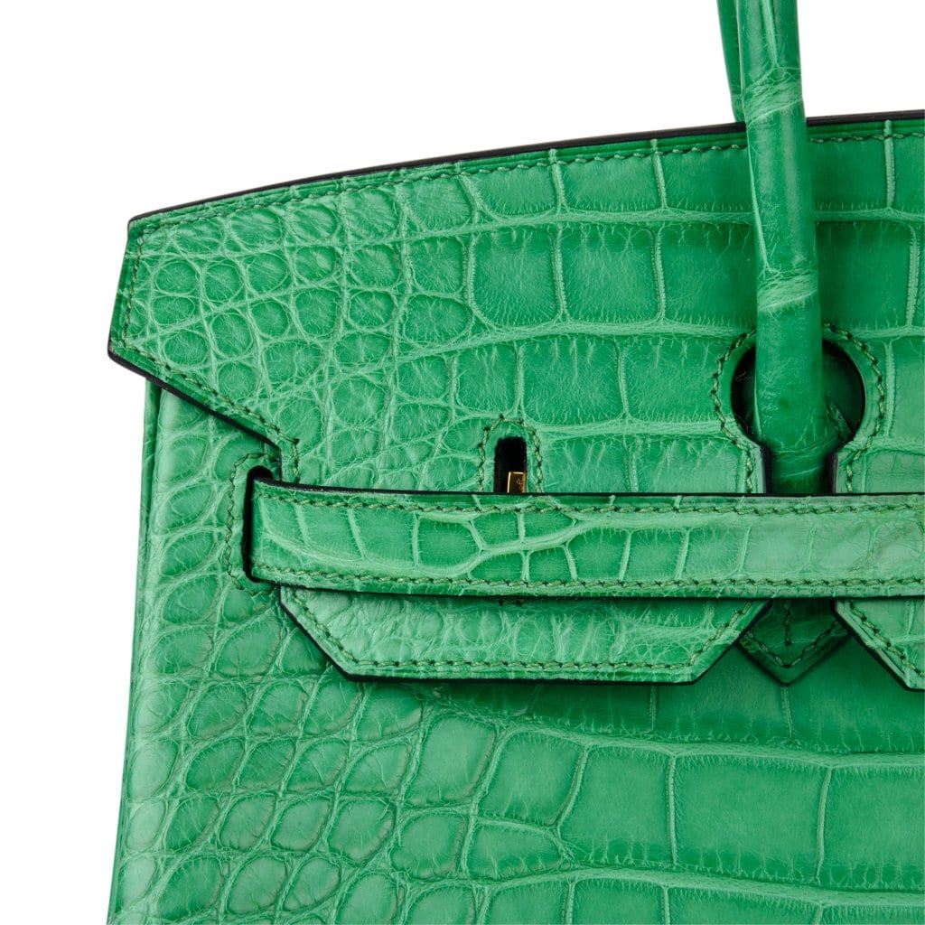 Birkin 35 Bag Matte Alligator Cactus Gold Hardware