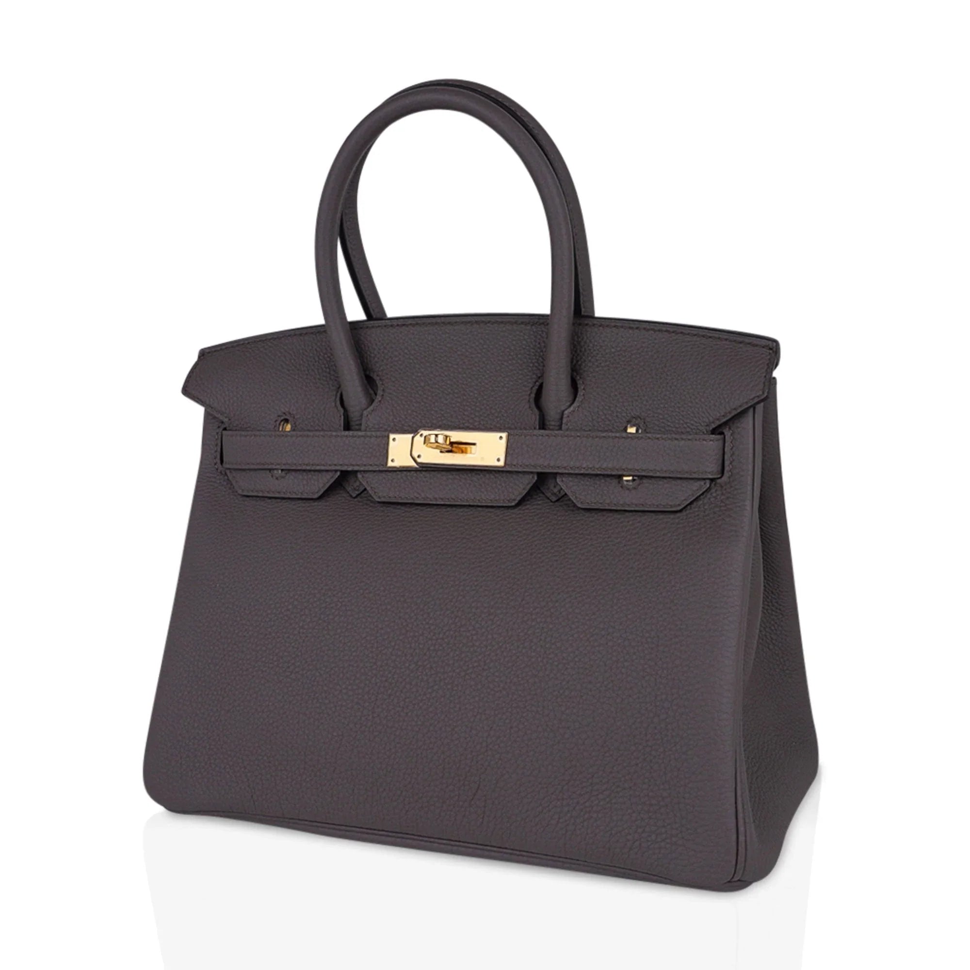 Birkin 30 Bag Etain Gray Coveted Gold Hardware Togo
