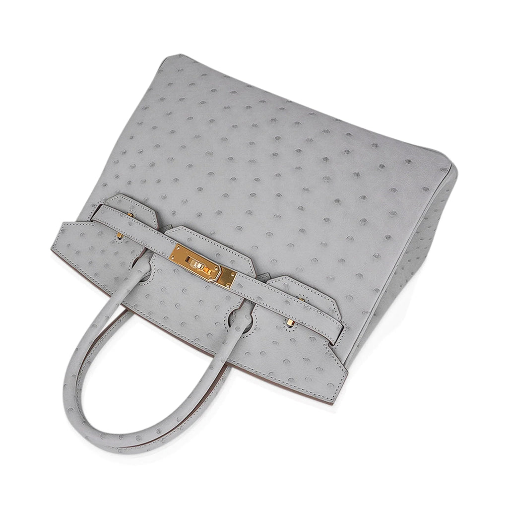 Birkin 30 Bag Gris Perle Ostrich with Gold Hardware