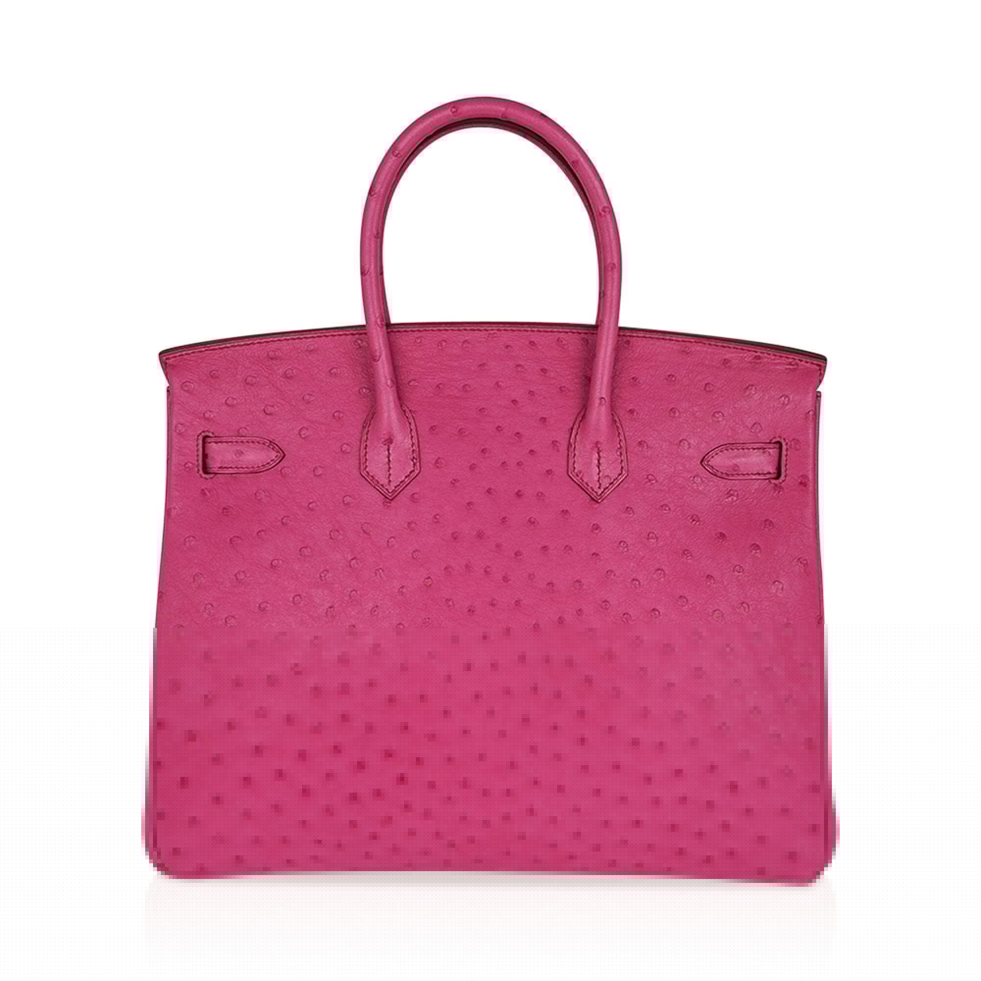 Birkin 35 Bag Fuchsia Ostrich Palladium Hardware