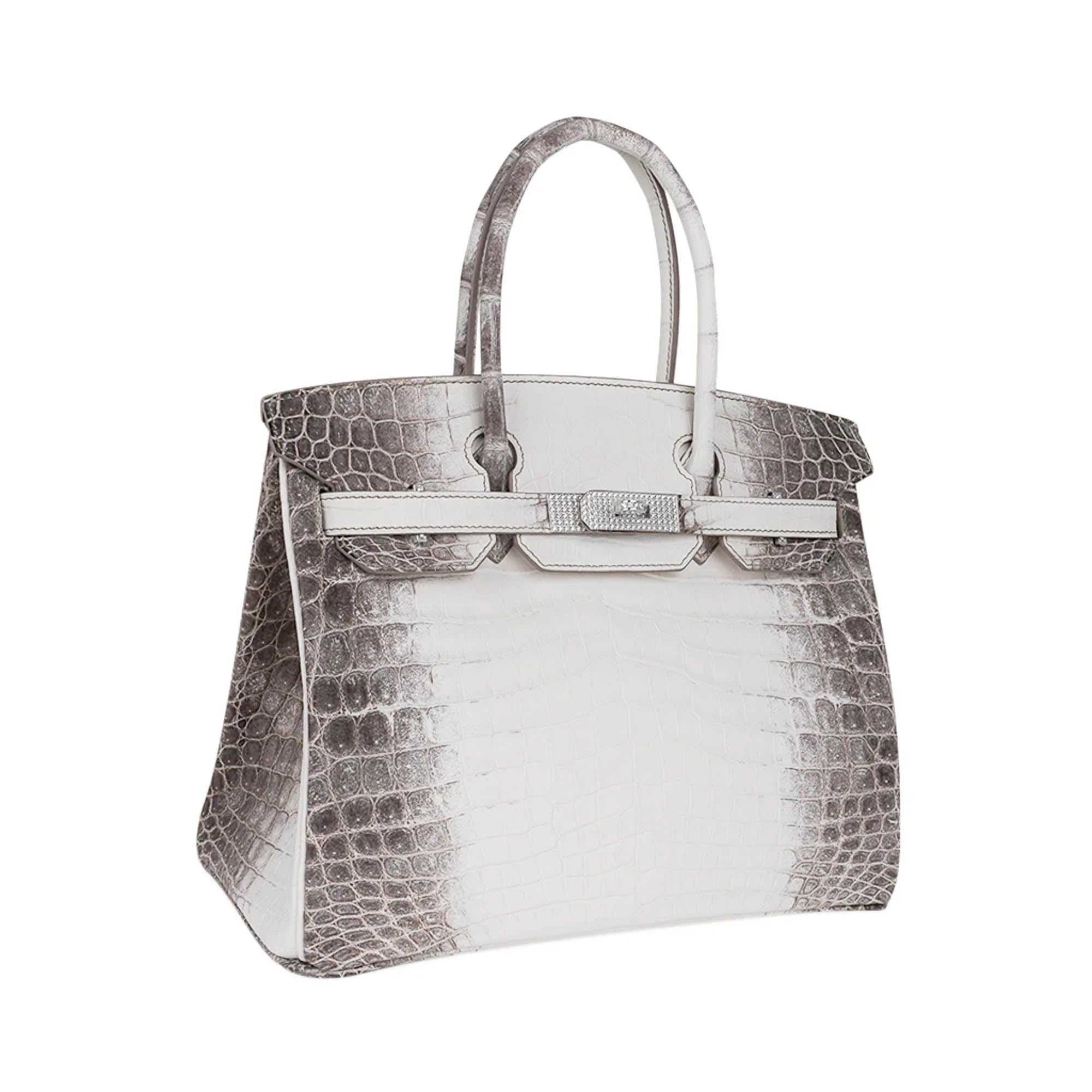 Birkin 30 Bag Diamond Himalaya Blanc Matte Niloticus Crocodile with 18k White Gold Hardware