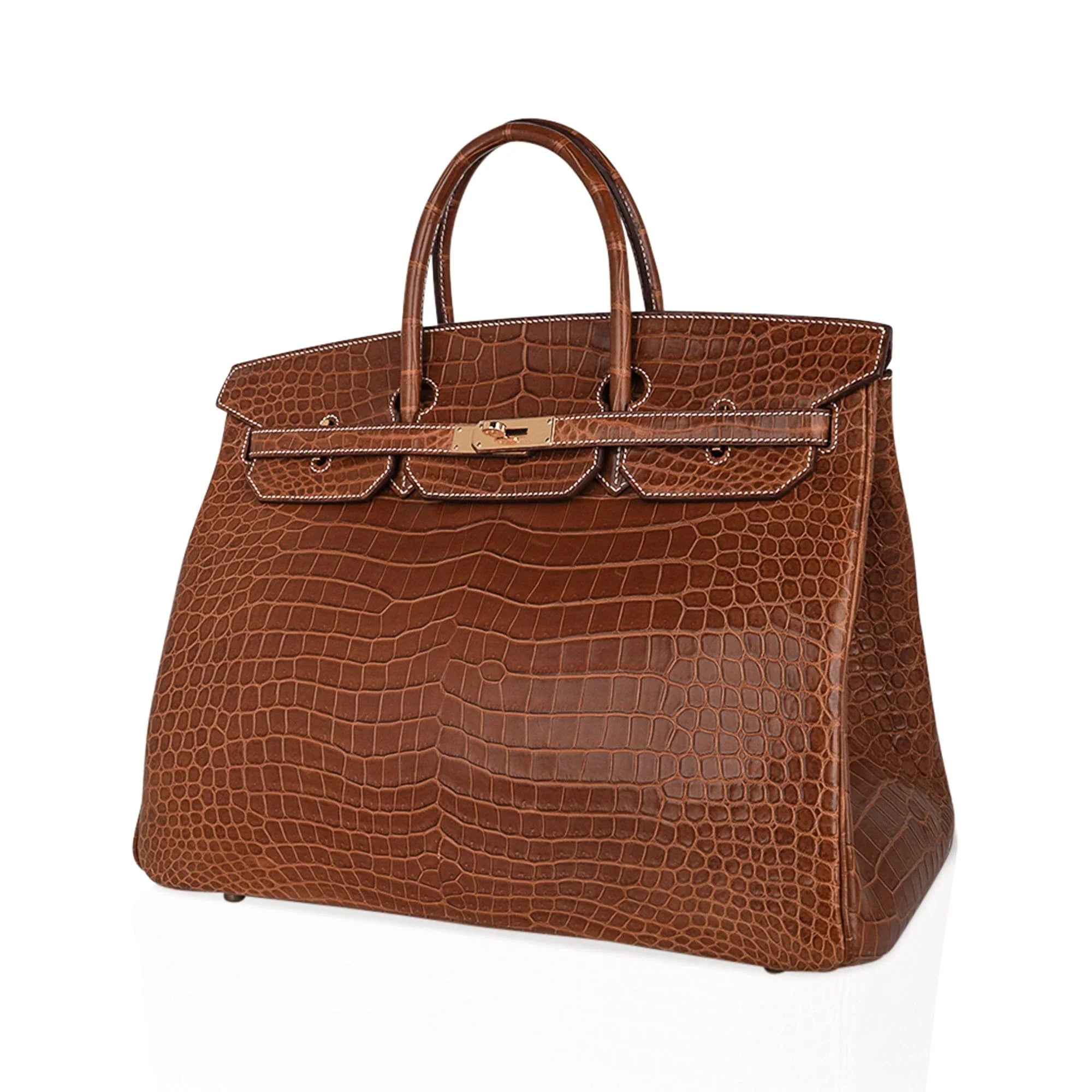 Birkin 40 Bag Rare Fauve Matte Porosus Crocodile Gold Hardware