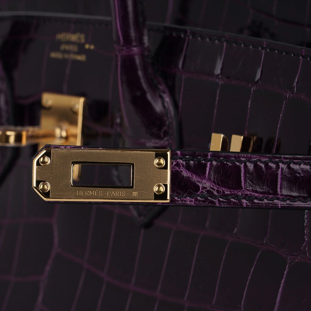 Birkin 25 Bag Aubergine Niloticus Crocodile with Gold Hardware