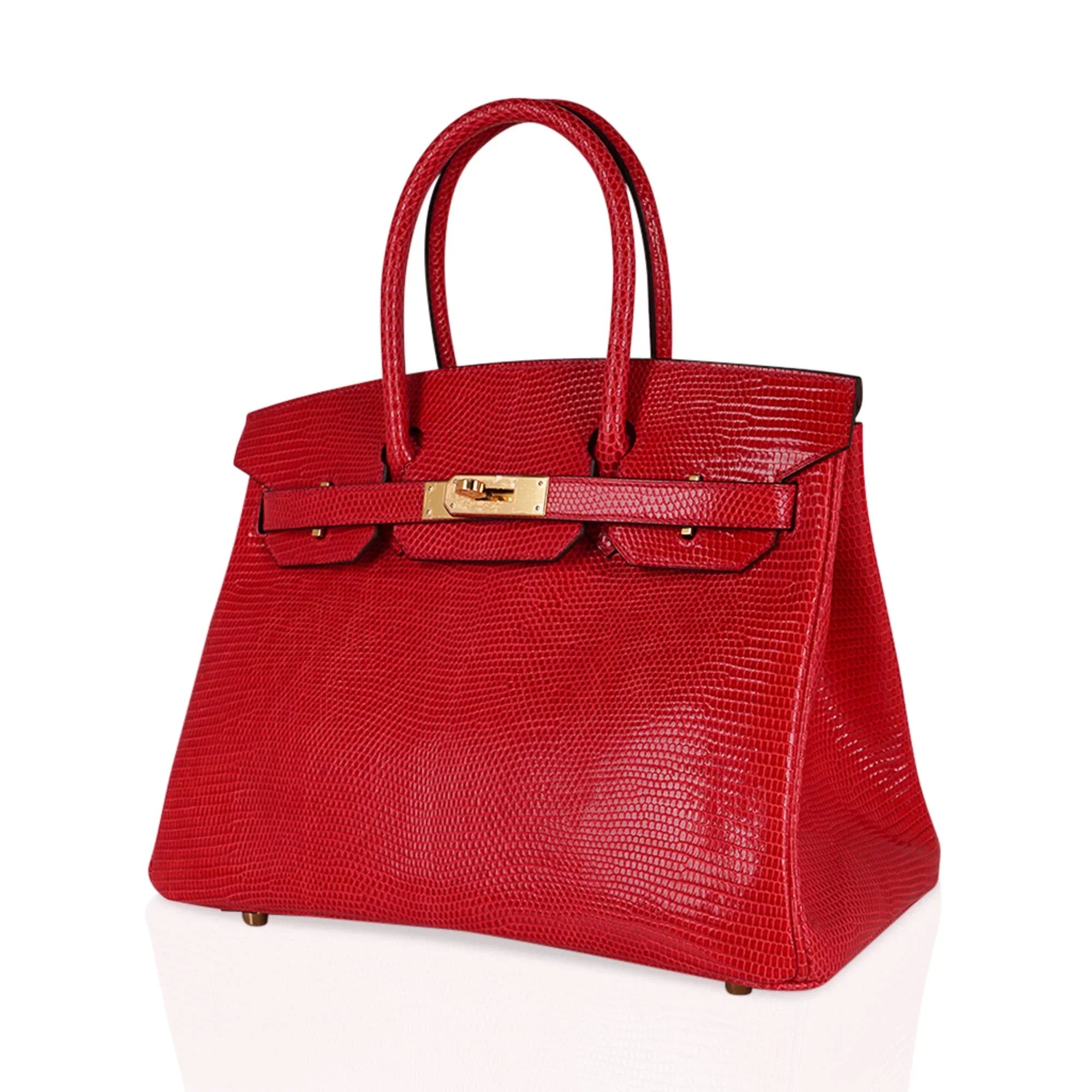 Birkin 30 Bag Rouge Exotique Lizard Limited Edition Gold Hardware Rare