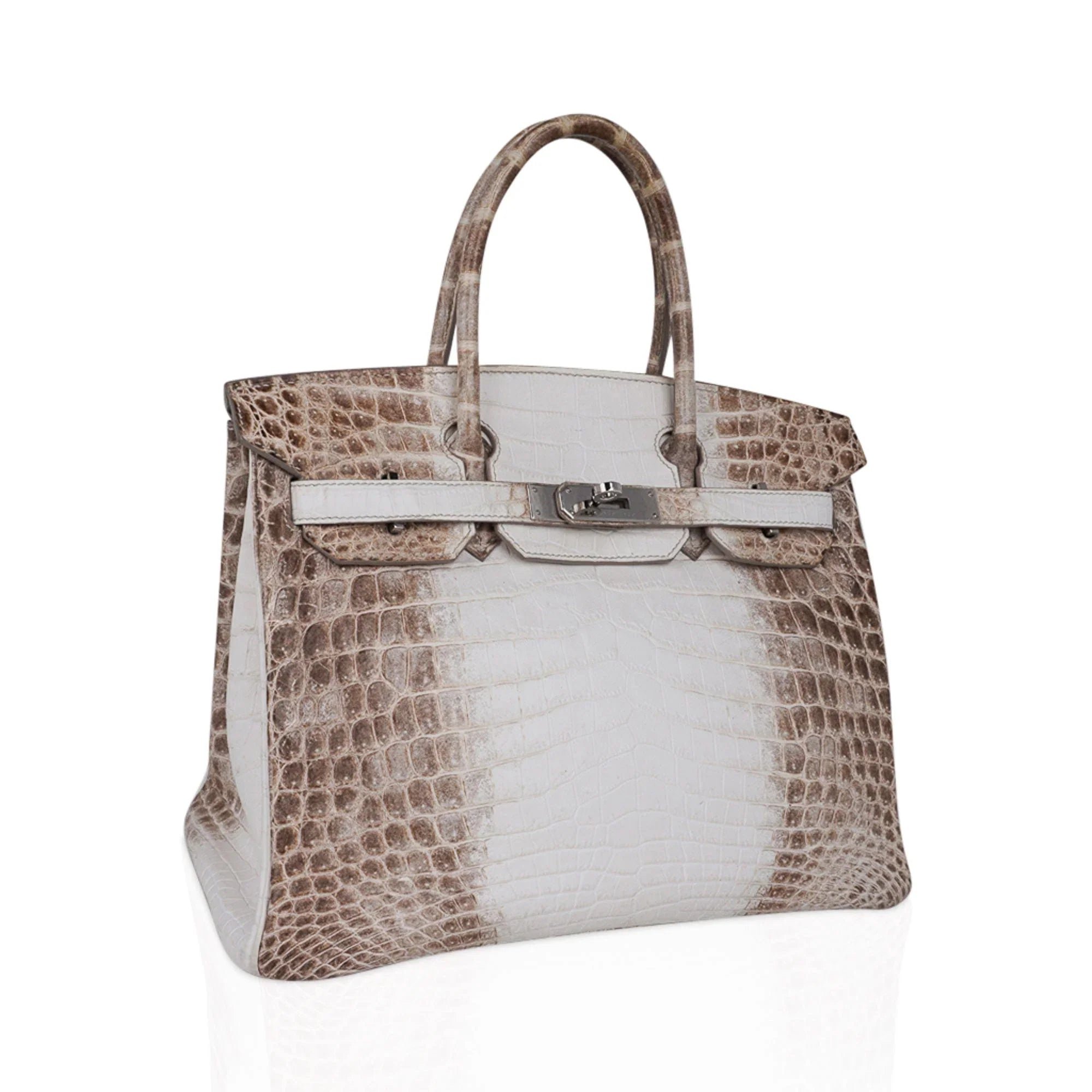 Birkin 30 Bag Himalaya Blanc Crocodile Palladium Hardware