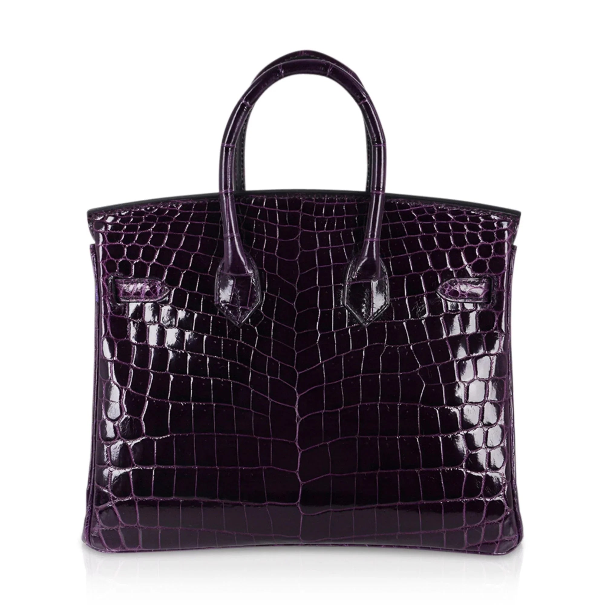 Birkin 25 Bag Aubergine Niloticus Crocodile with Gold Hardware
