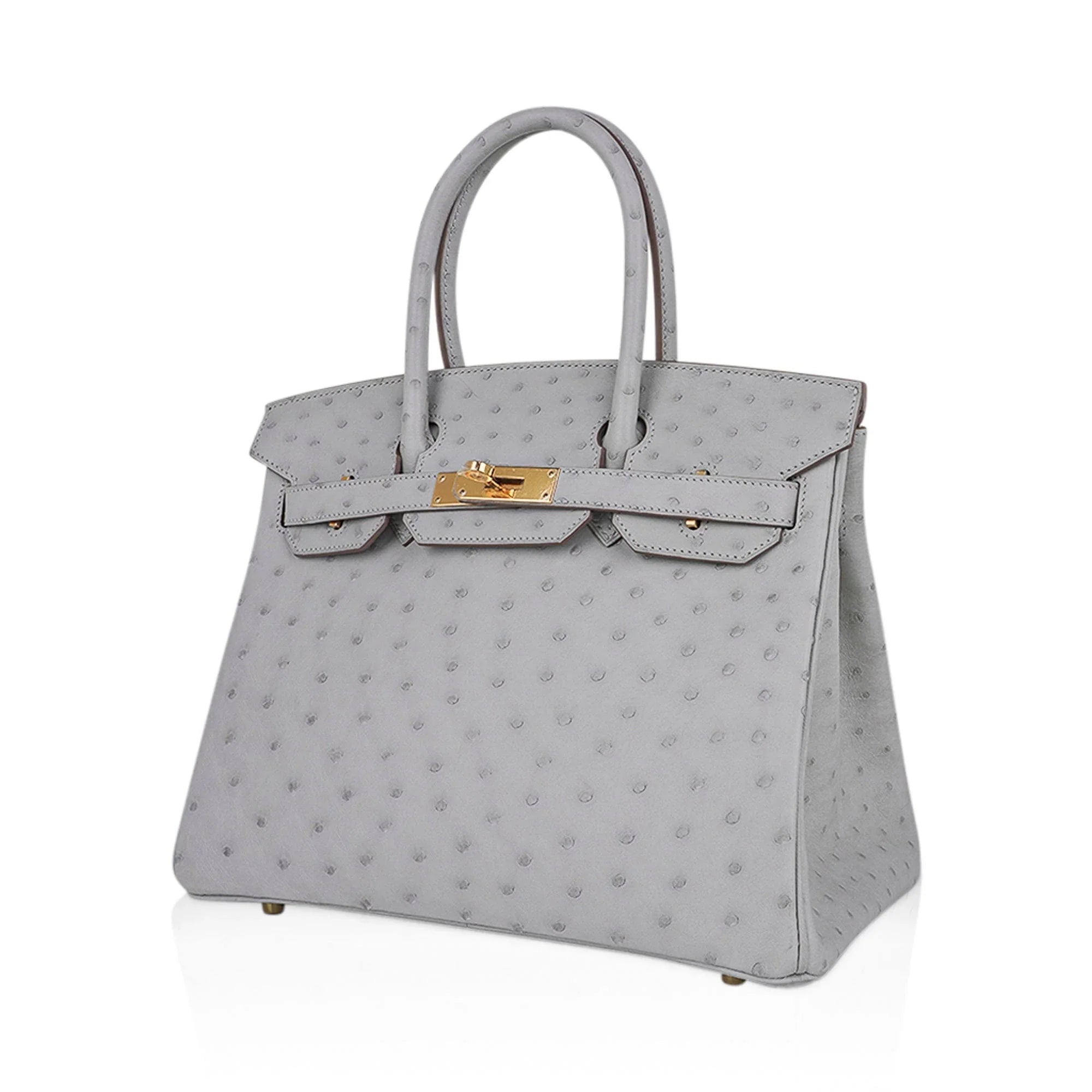Birkin 30 Bag Gris Perle Ostrich with Gold Hardware