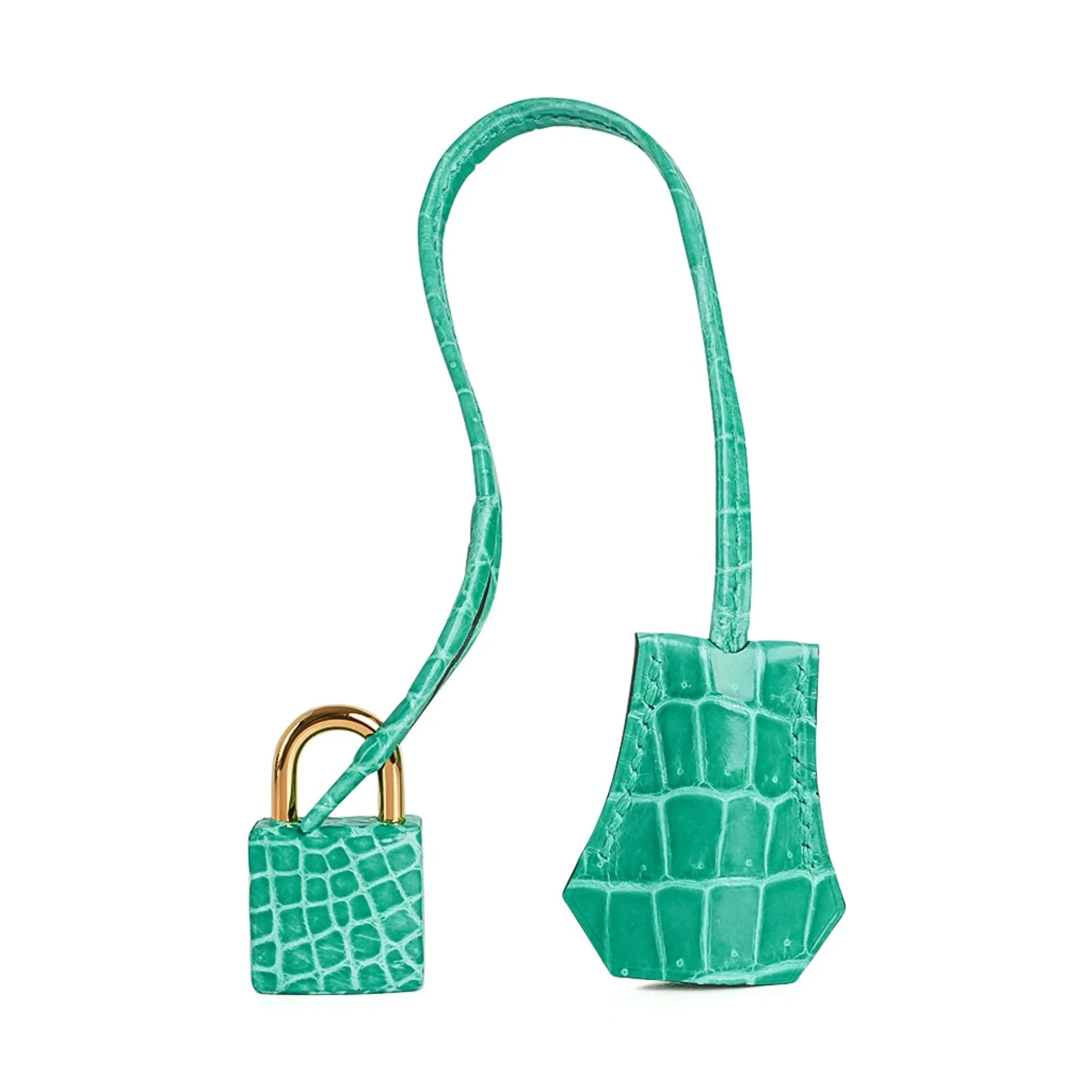 Birkin 30 Bag Jade Porosus Crocodile Gold Hardware