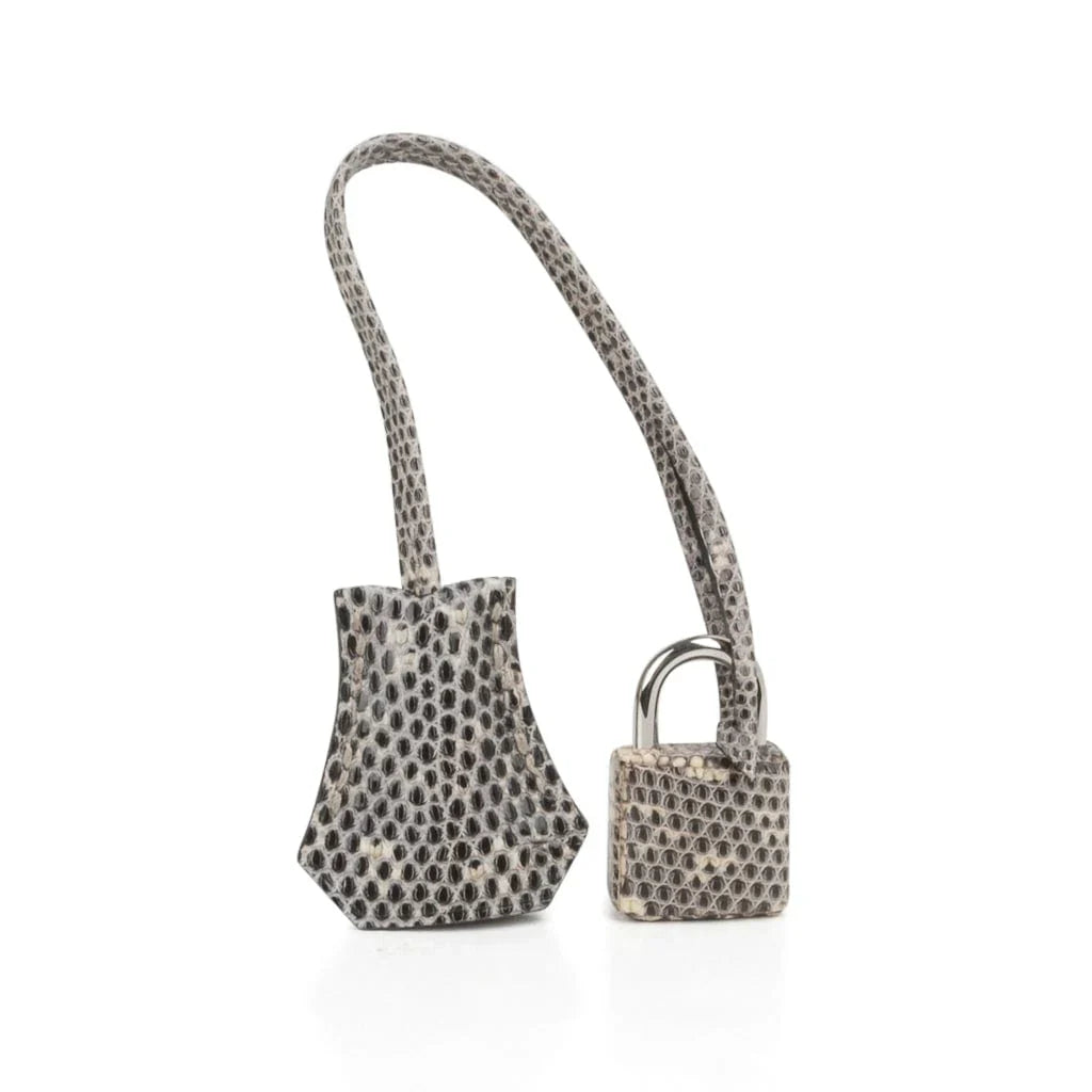 Birkin 25 Bag Ombre Lizard Palladium Hardware Holy Grail Bag