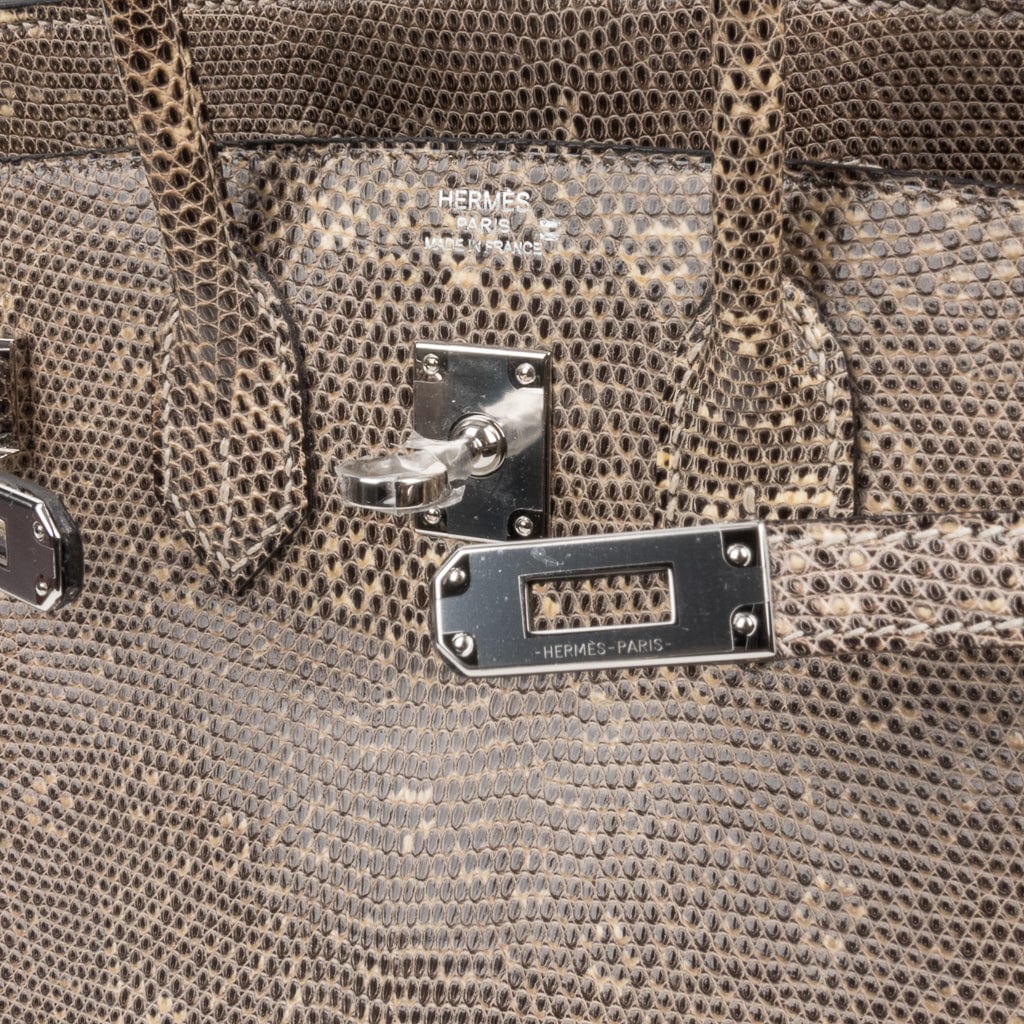 Birkin 25 Bag Ombre Lizard Palladium Hardware Holy Grail Bag