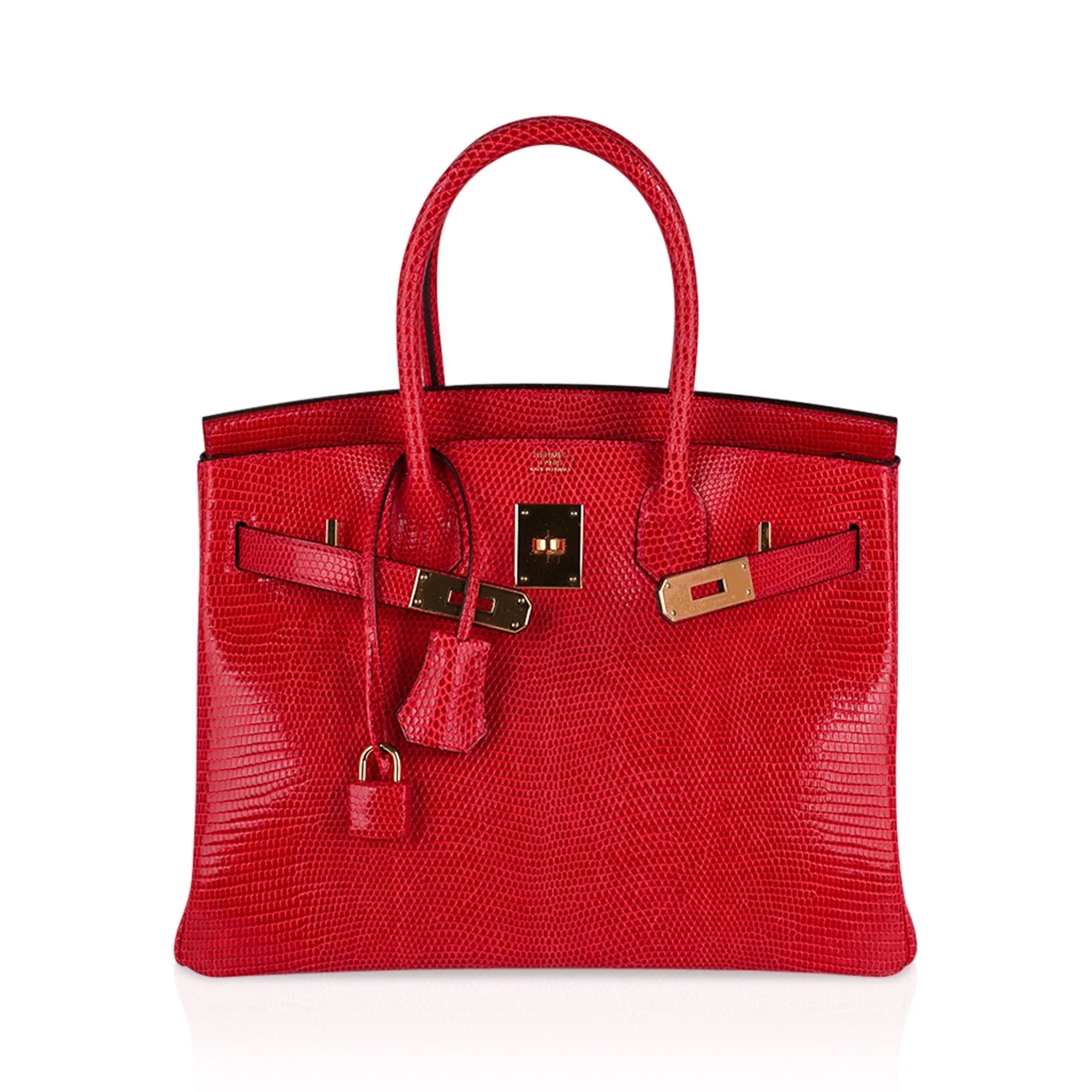 Birkin 30 Bag Rouge Exotique Lizard Limited Edition Gold Hardware Rare