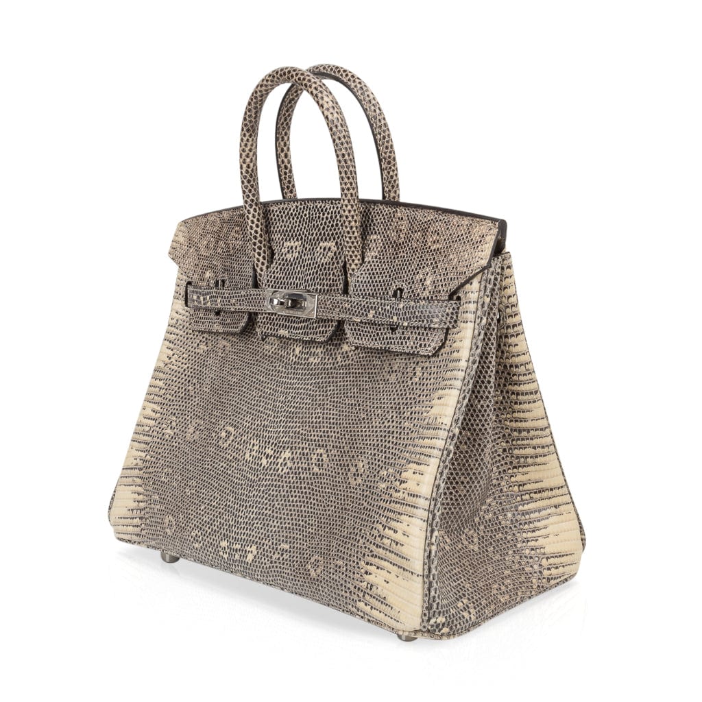 Birkin 25 Bag Ombre Lizard Palladium Hardware Holy Grail Bag