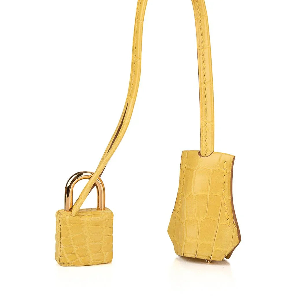 Birkin 30 Bag Mimosa Matte Alligator Gold Hardware