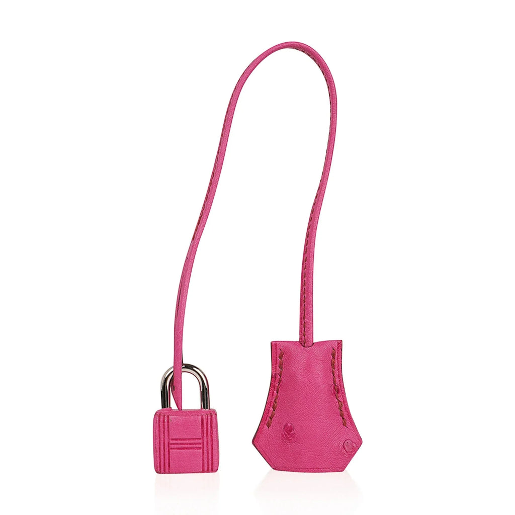 Birkin 35 Bag Fuchsia Ostrich Palladium Hardware