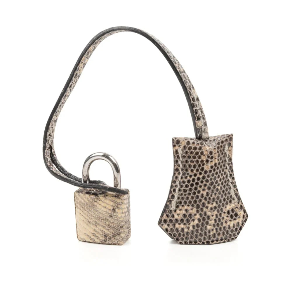 Birkin 25 Bag Ombre Lizard Palladium Hardware Holy Grail Bag