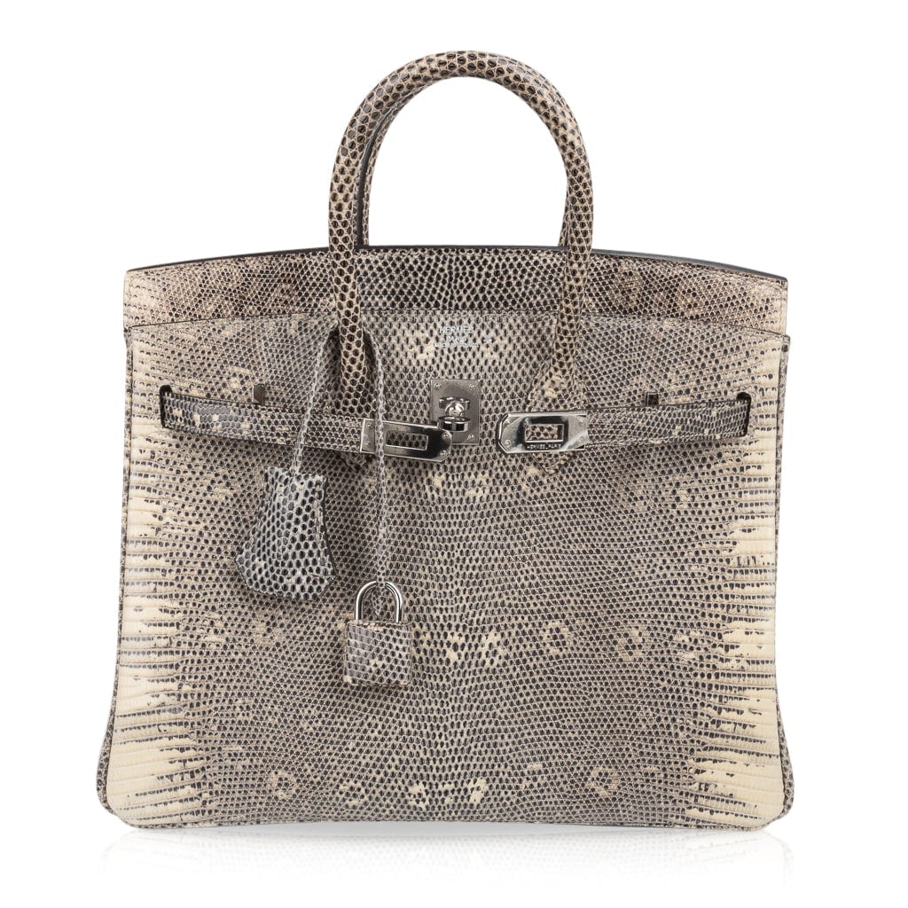 Birkin 25 Bag Ombre Lizard Palladium Hardware Holy Grail Bag