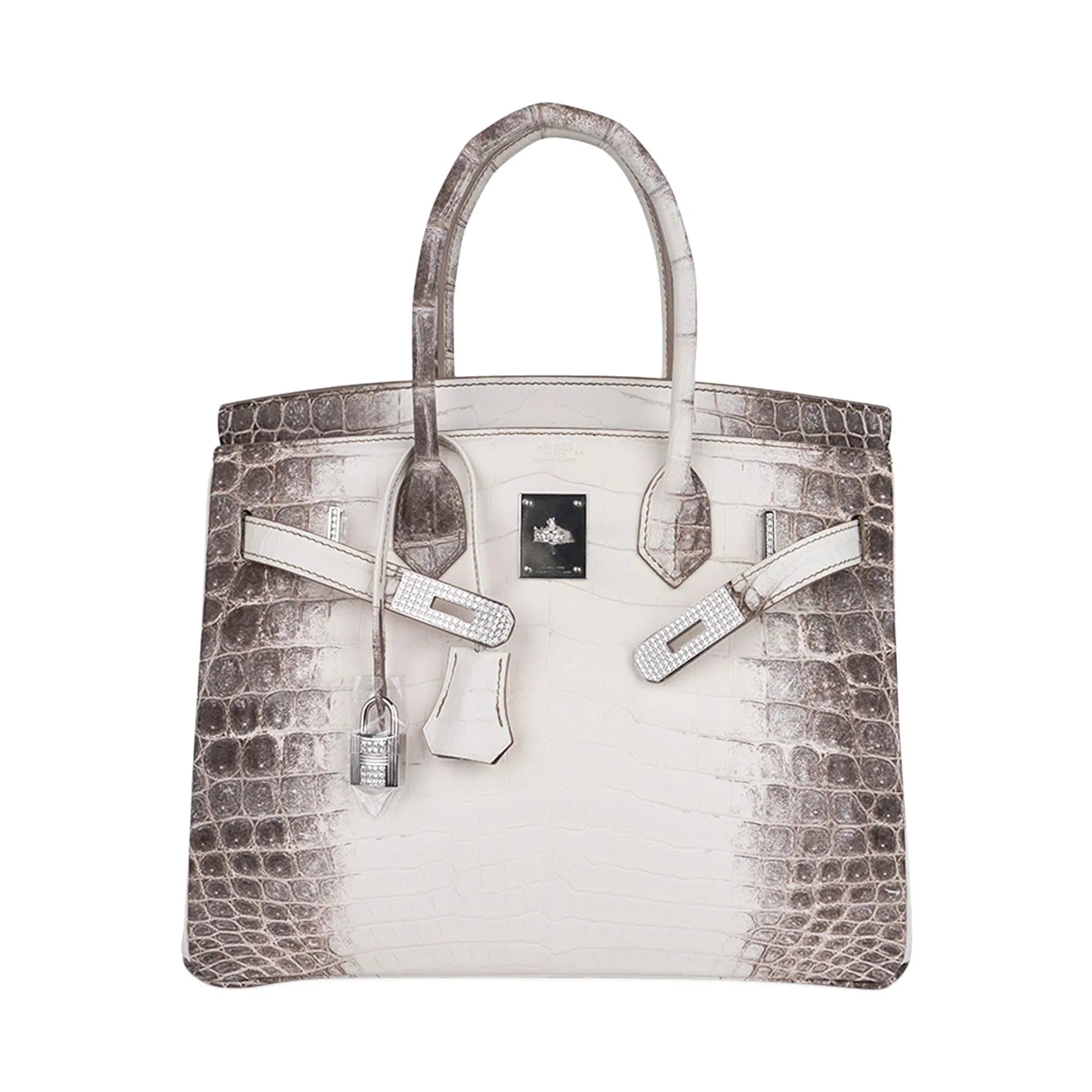 Birkin 30 Bag Diamond Himalaya Blanc Matte Niloticus Crocodile with 18k White Gold Hardware