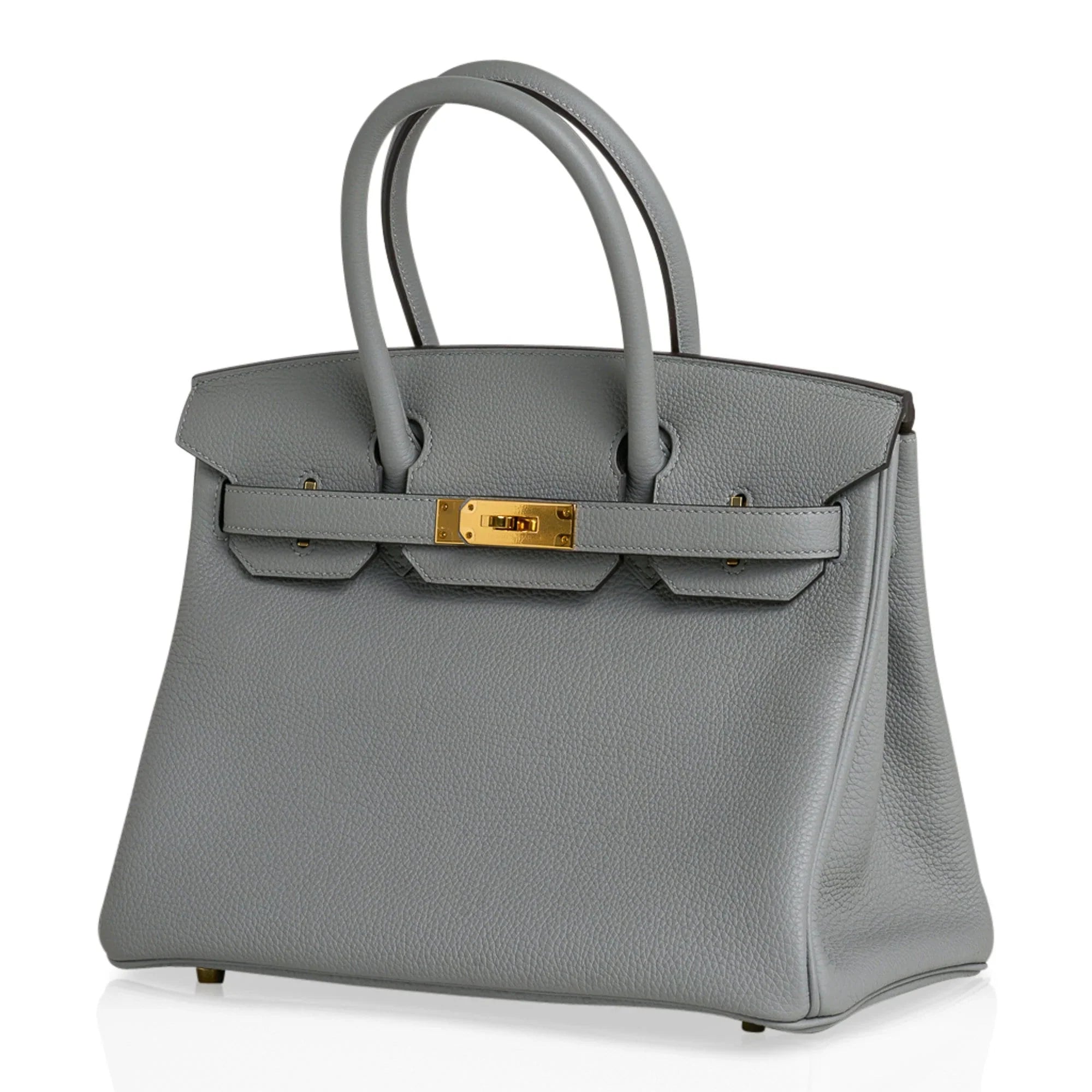 Birkin 30 Bag Gris Mouette Gold Hardware Togo Leather