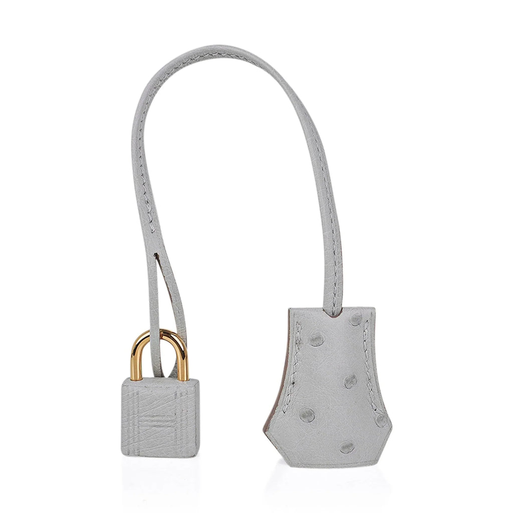 Birkin 30 Bag Gris Perle Ostrich with Gold Hardware