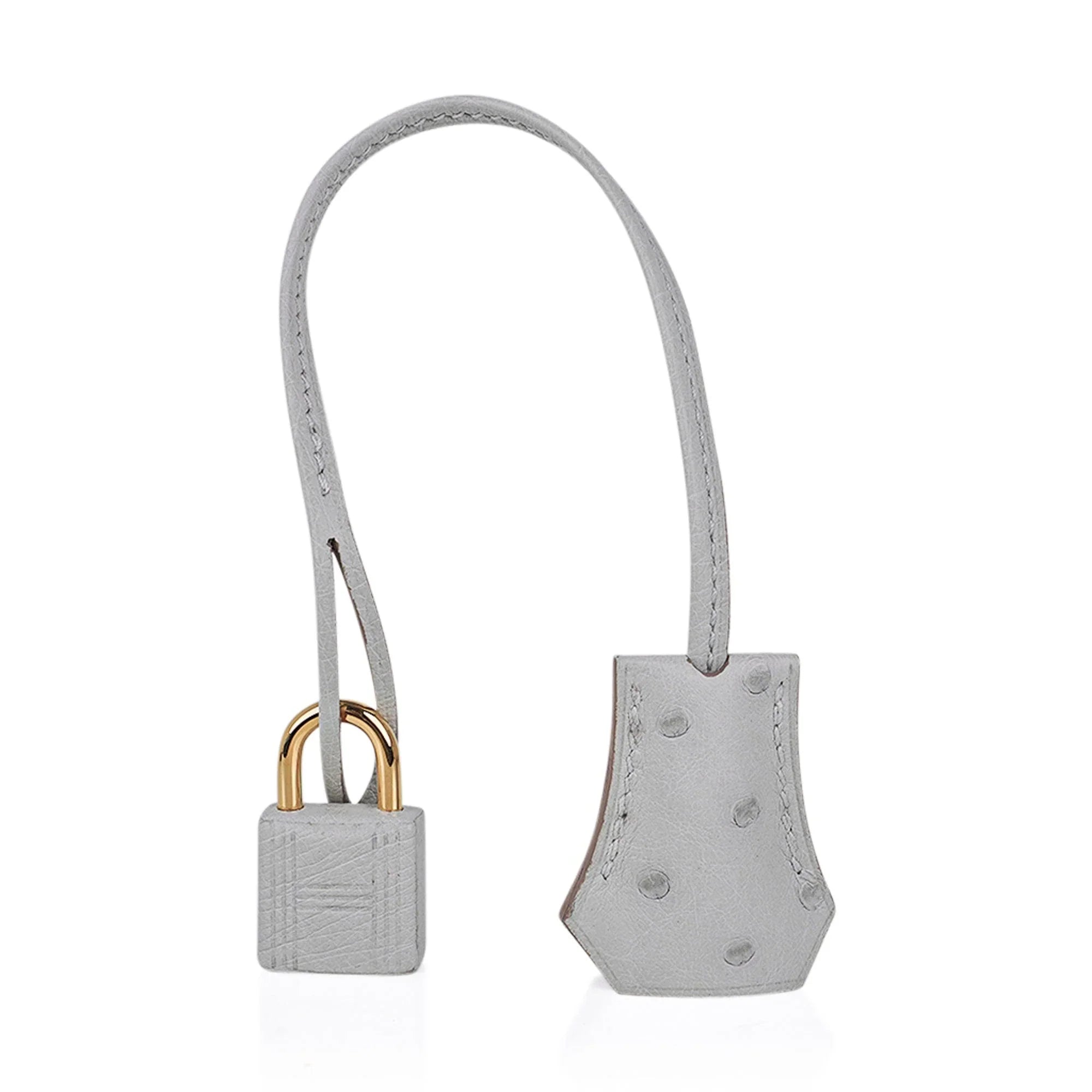Birkin 30 Bag Gris Perle Ostrich with Gold Hardware