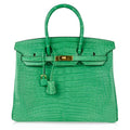 Birkin 35 Bag Matte Alligator Cactus Gold Hardware