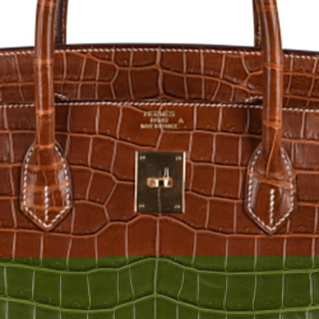 Birkin 40 Bag Rare Fauve Matte Porosus Crocodile Gold Hardware