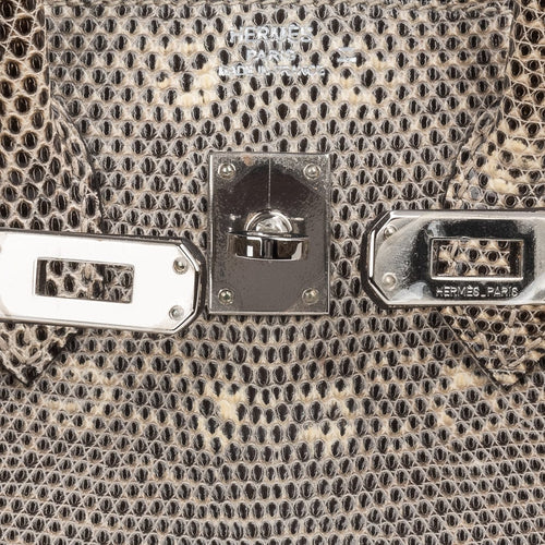 Birkin 25 Bag Ombre Lizard Palladium Hardware Holy Grail Bag