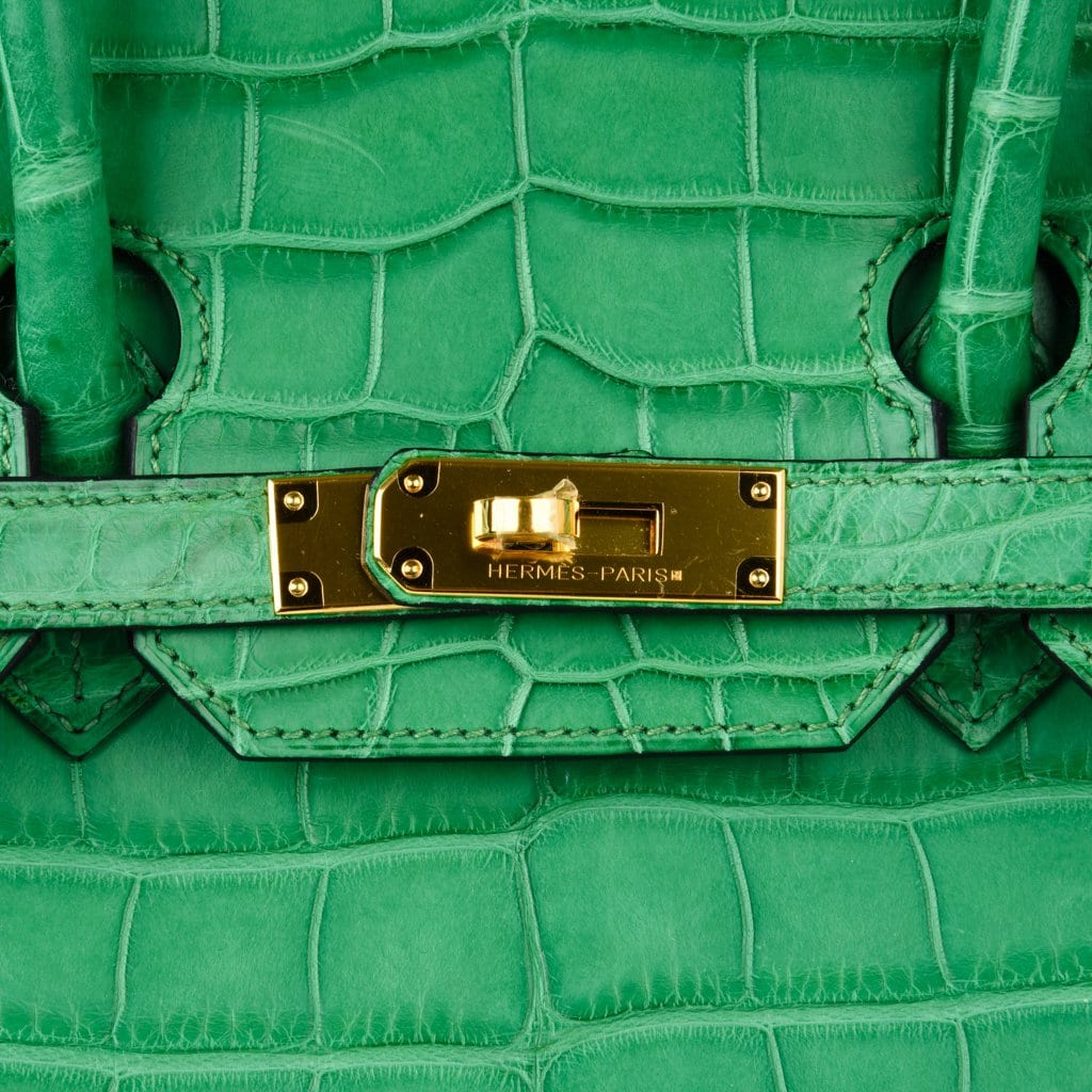 Birkin 35 Bag Matte Alligator Cactus Gold Hardware