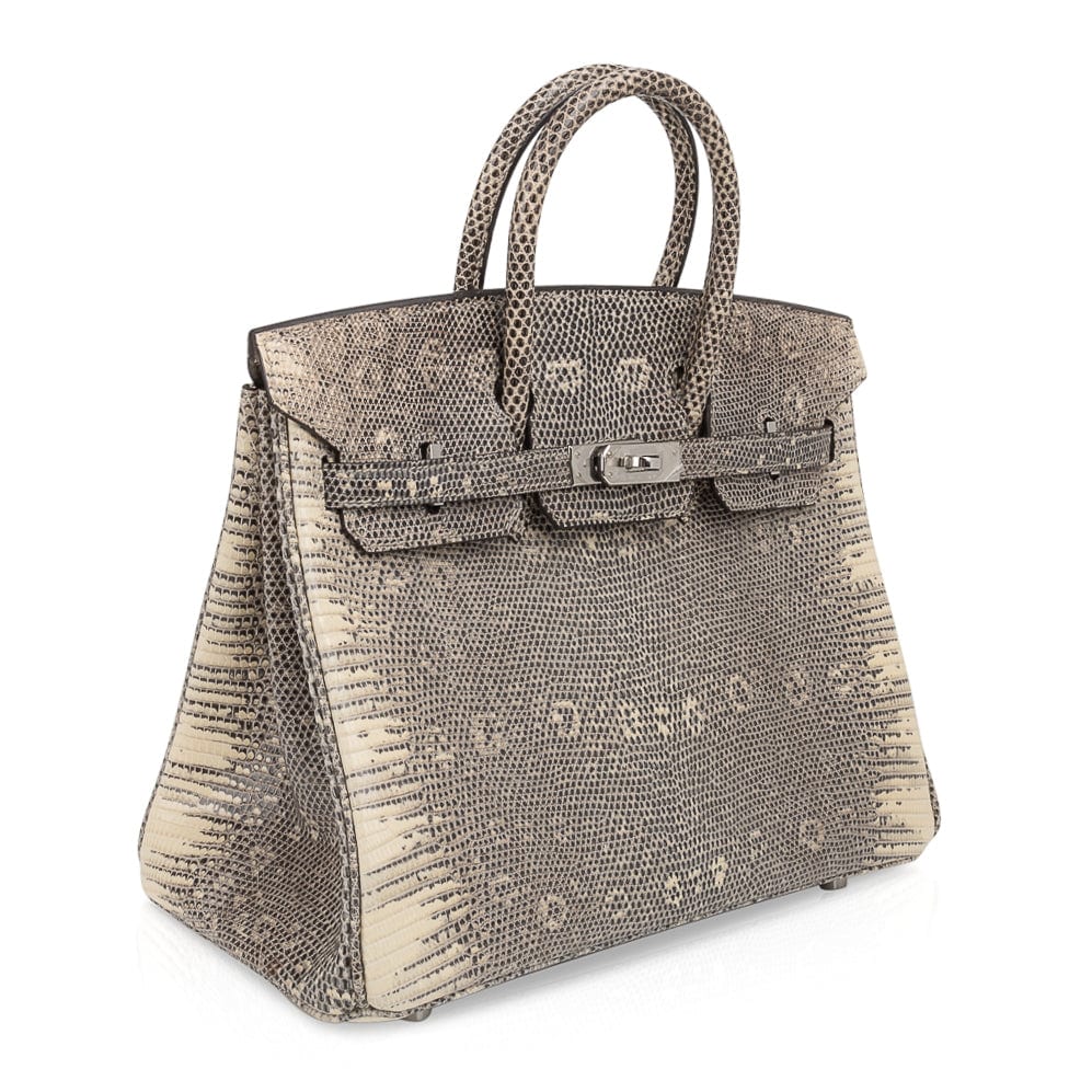 Birkin 25 Bag Ombre Lizard Palladium Hardware Holy Grail Bag