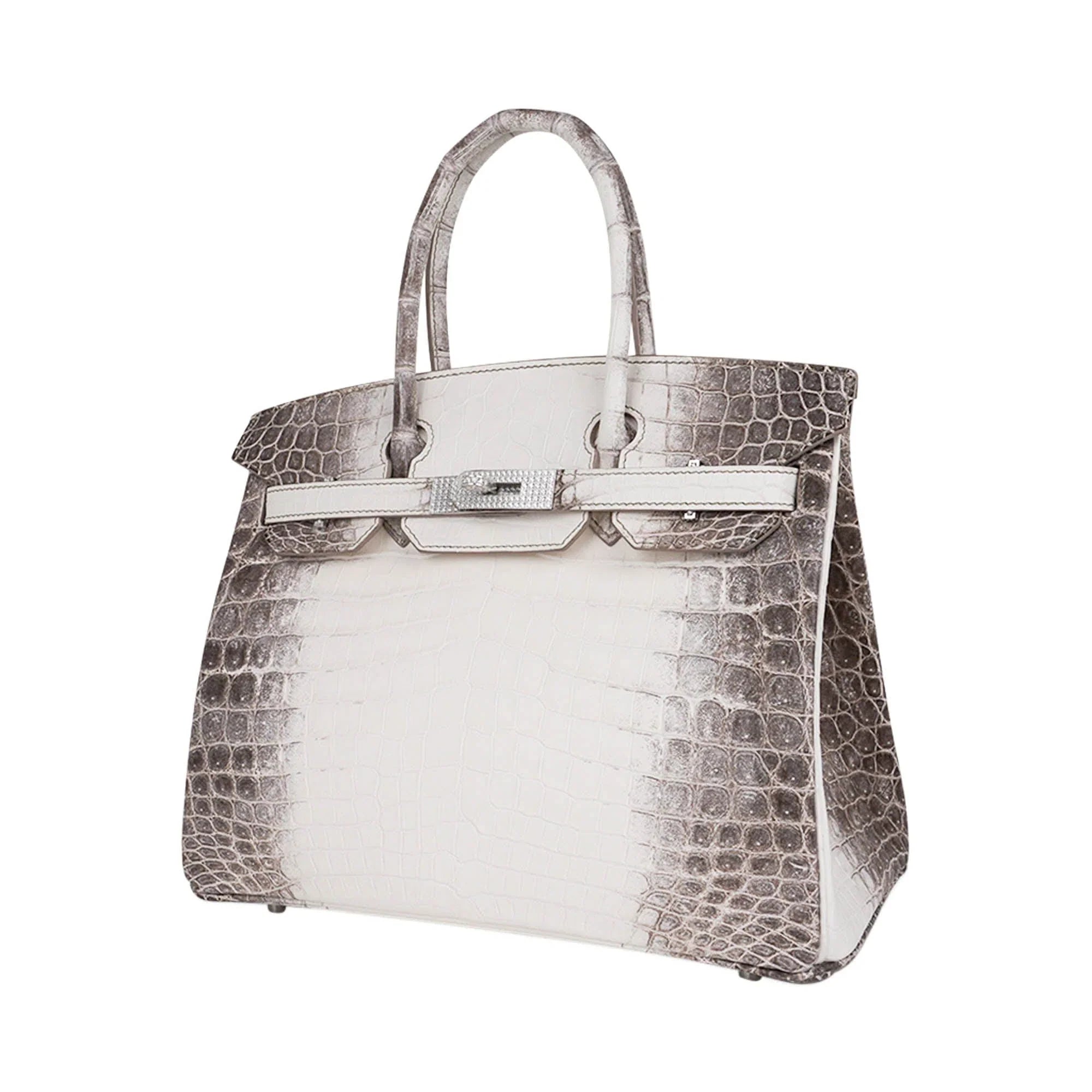 Birkin 30 Bag Diamond Himalaya Blanc Matte Niloticus Crocodile with 18k White Gold Hardware