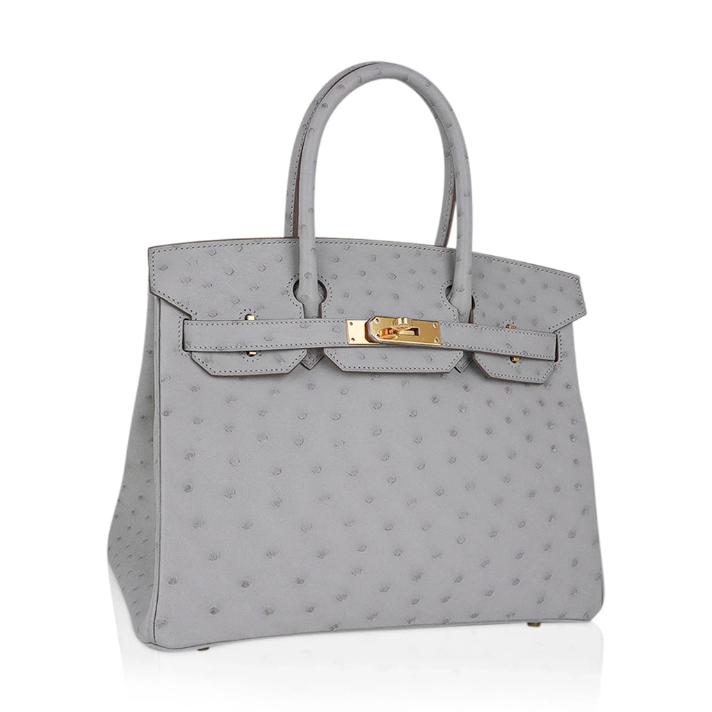 Birkin 30 Bag Gris Perle Ostrich with Gold Hardware