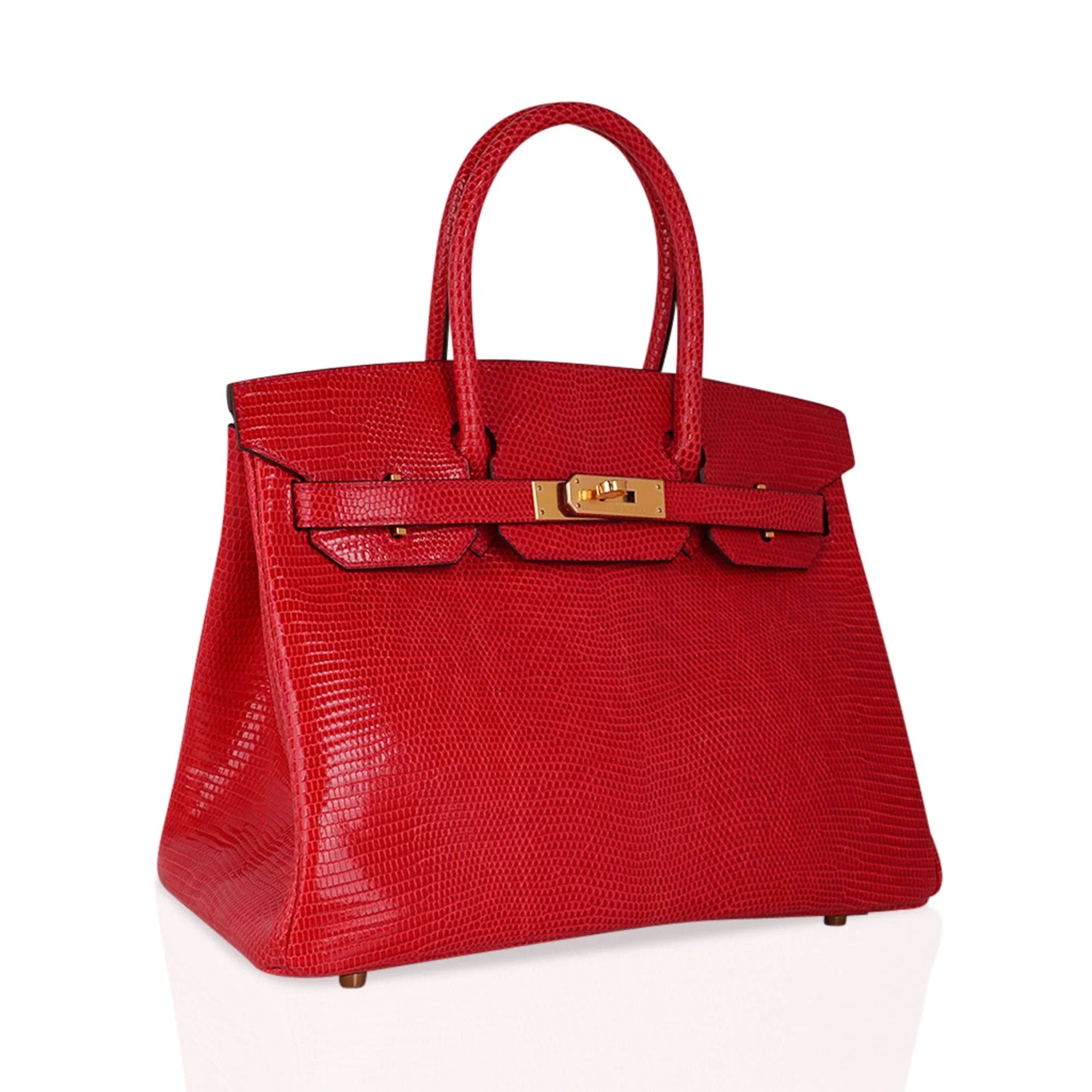 Birkin 30 Bag Rouge Exotique Lizard Limited Edition Gold Hardware Rare