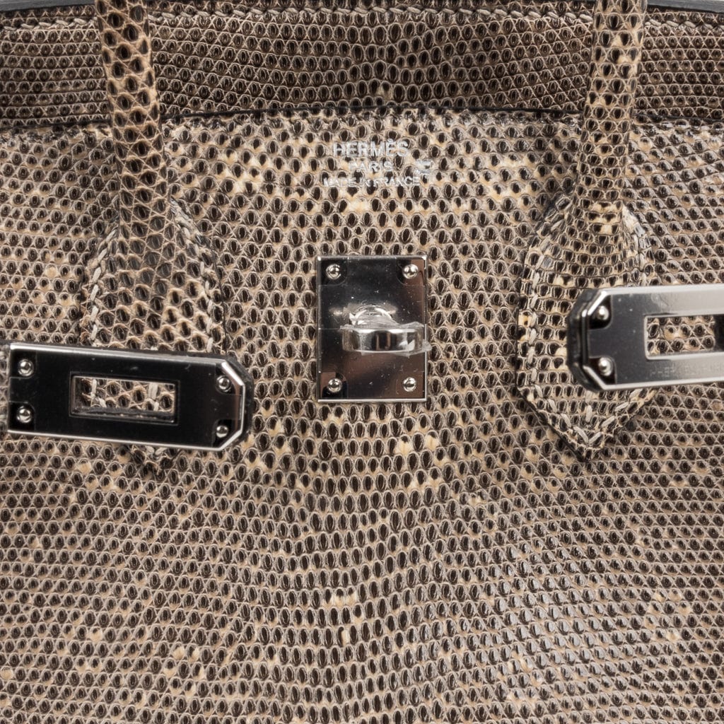 Birkin 25 Bag Ombre Lizard Palladium Hardware Holy Grail Bag