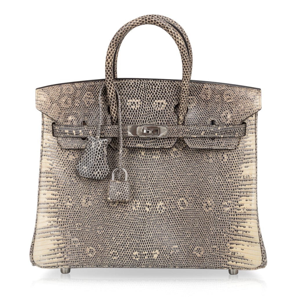 Birkin 25 Bag Ombre Lizard Palladium Hardware Holy Grail Bag