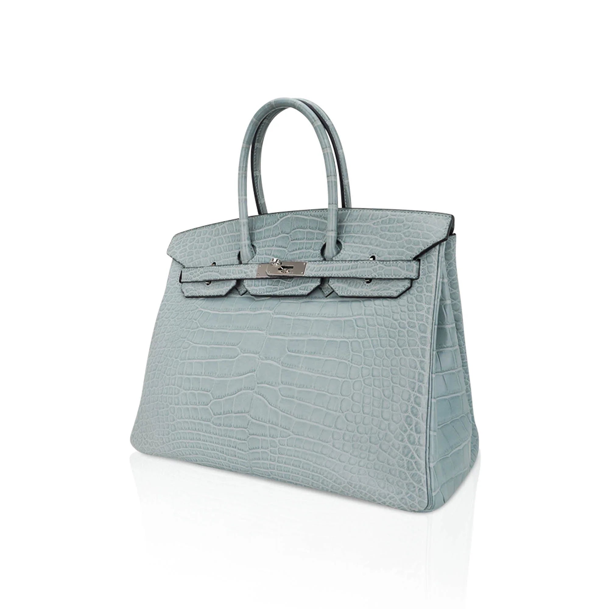 Limited Edition Birkin 35 Bag Ciel Matte Alligator with Palladium Hardware