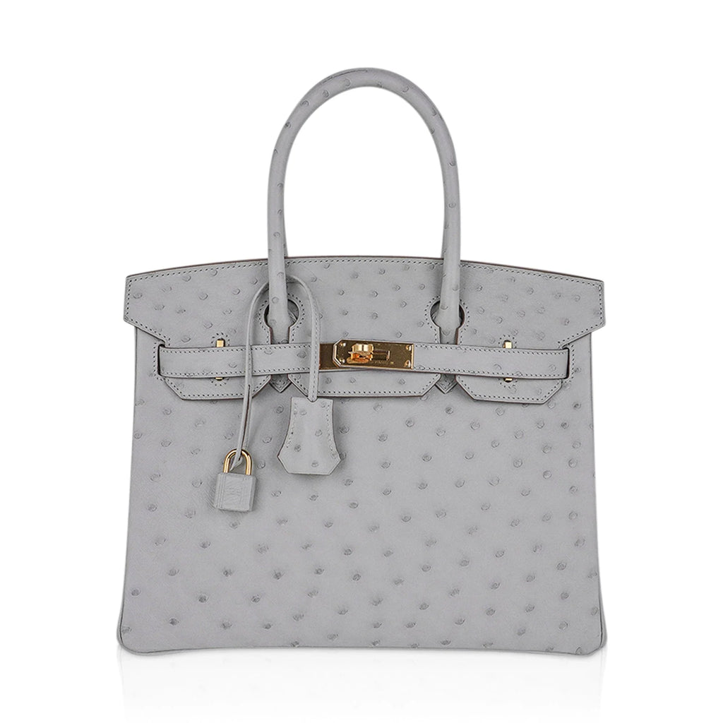 Birkin 30 Bag Gris Perle Ostrich with Gold Hardware